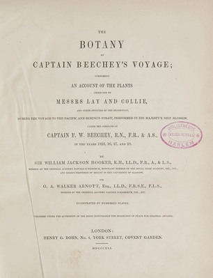 575
<br/>
The Botany of Captain Beechey's voyage, comprising an account of the plants collected by Messrs. Lay and Collie and other officers of the Expedition, during the voyage to the Pacific and Bering's Strait, performed in H.M. Ship Blossom, under the command of Captain F.W. Beechey in the years 1825-1828 by Sir William Jackson Hooker and G.A. Walker Arnott
<br/>
<em></em>